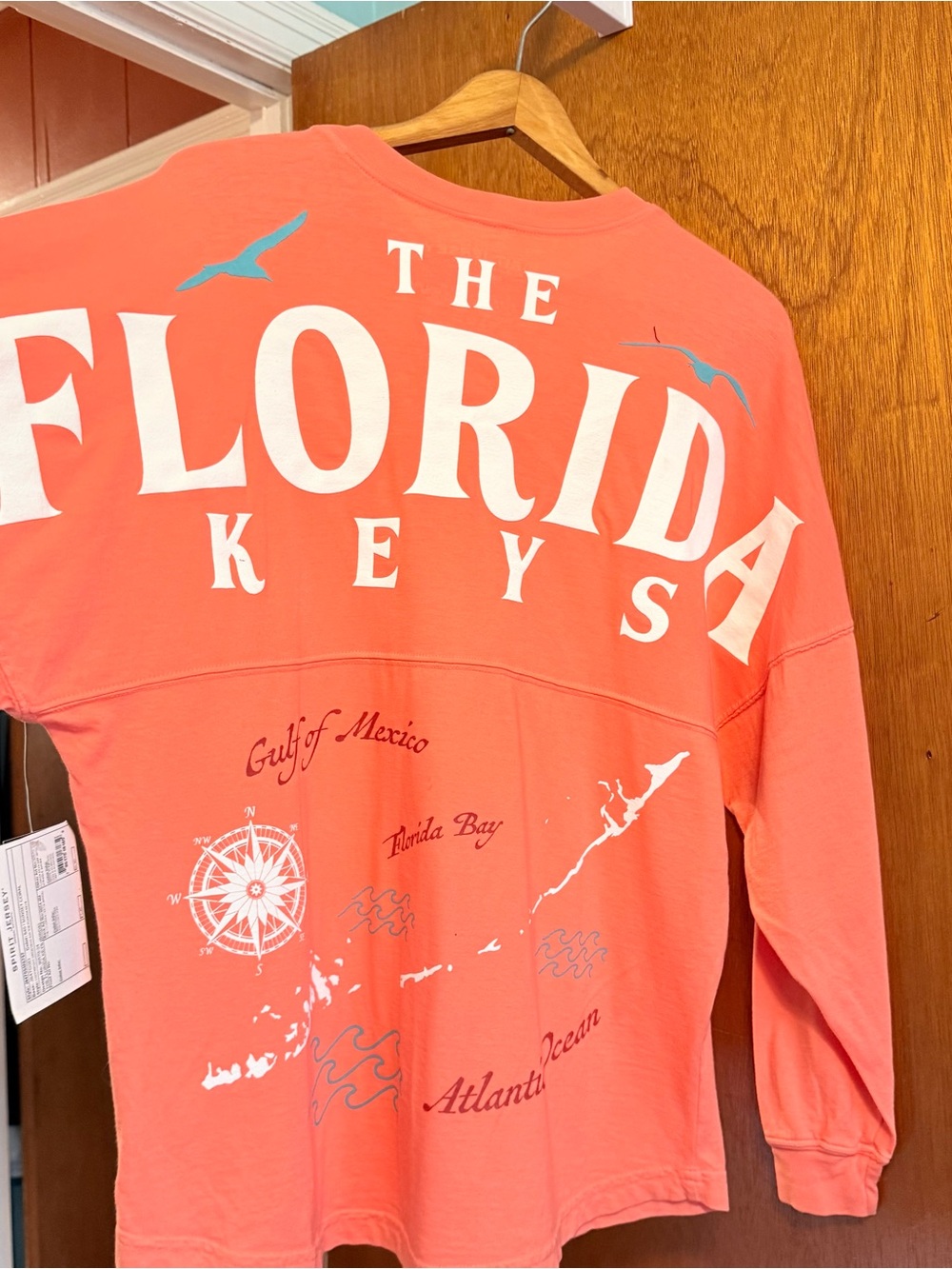 Unisex Coral 'The Florida Keys' Long-Sleeve Graphic Top